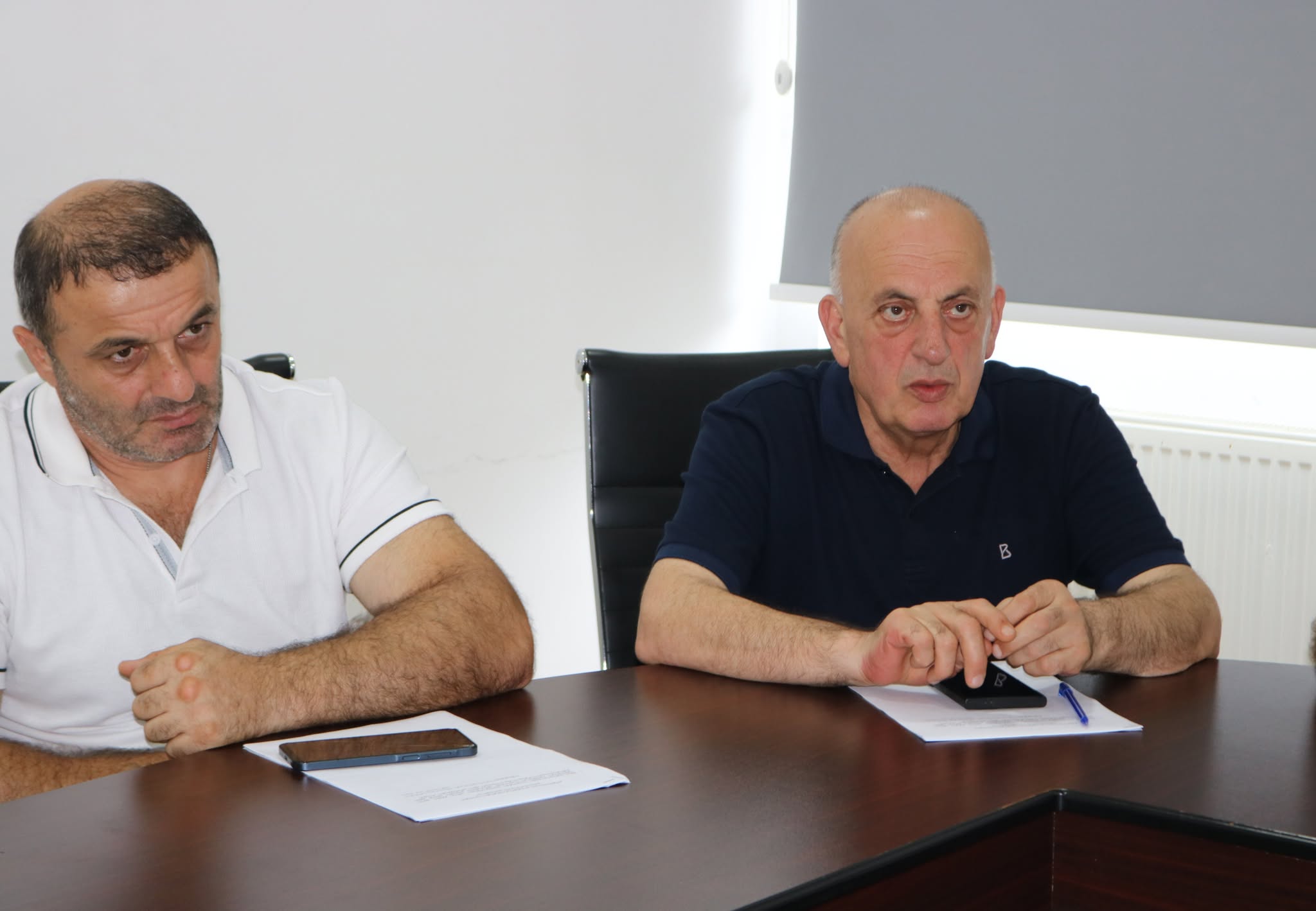 დღეს მუდმივმოქმედი კომისიის სხდომები გაიმართა